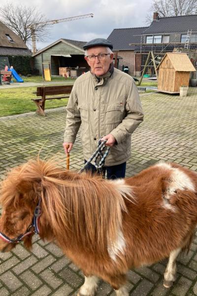 Pony